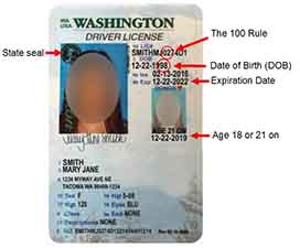 Washington Drivers License